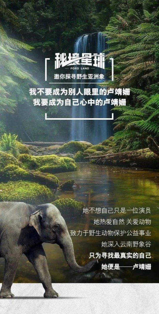 漂亮鹦鹉救援